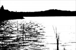 lago trasimeno foto bianco nero al tratto